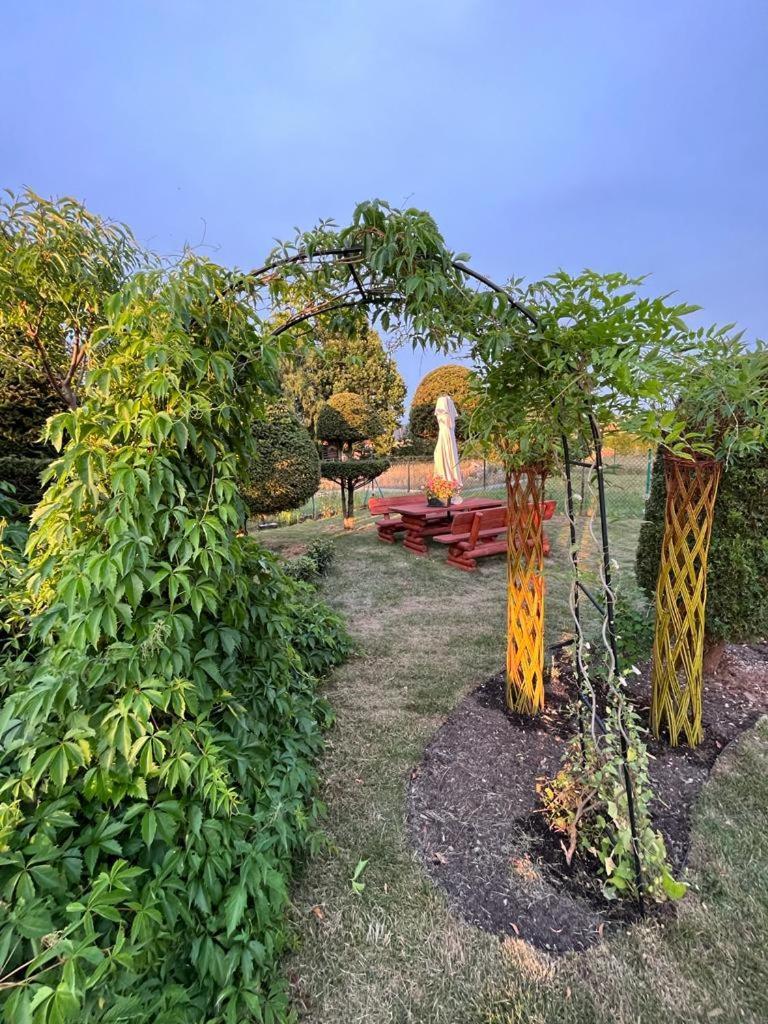 Апартаменты Liwa Garden Krzywa 11 Экстерьер фото