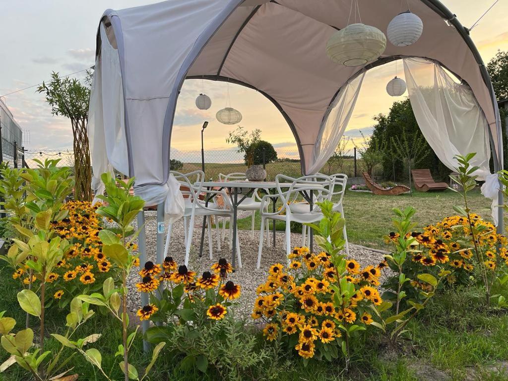 Апартаменты Liwa Garden Krzywa 11 Экстерьер фото